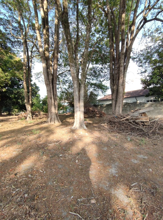 Excelente Área à Venda na Avenida Vila Velha em Taubaté - imagem 5